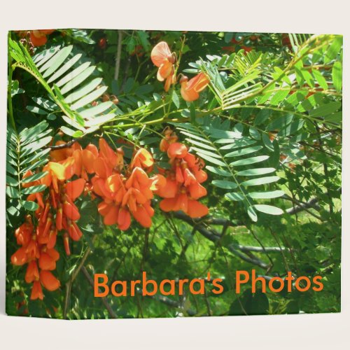 Scarlet Wisteria (Sesbania punicea) OBX Binder