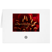 scarlett core (Back Horizontal)