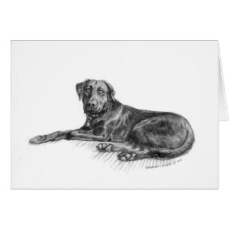 Scarlett the black lab. cards