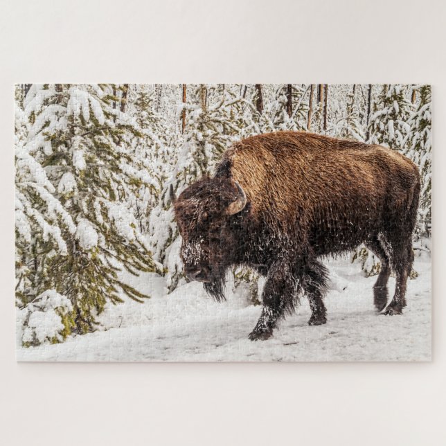 Scary Bison (Bison bison) - Buffalo - 1014 piece Jigsaw Puzzle (Horizontal)
