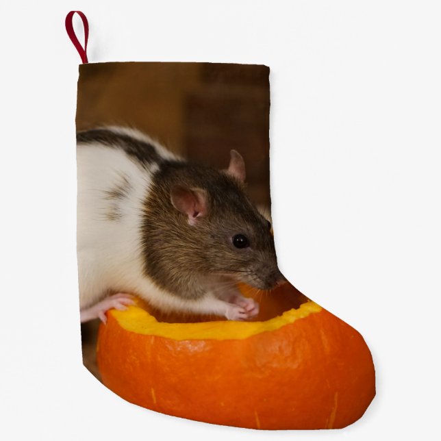 scary Black Hooded rat eating pumpkin seeds Small Christmas Stocking (Front)