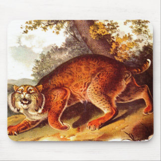 scary bobcat mouse pad