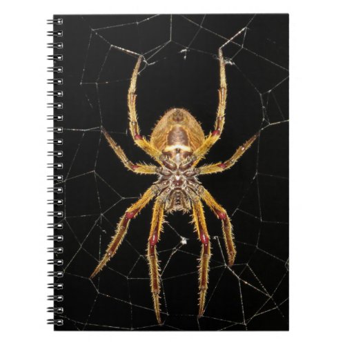 Scary Creepy Spider and Spider Web Notebook
