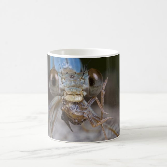 Scary Damselfly Mug (Center)