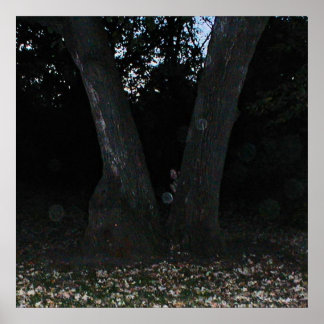 Scary Faerie Poster