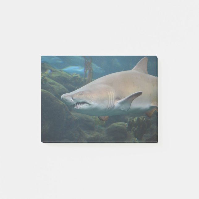 Scary Great White Shark Post-it Notes (Front)