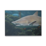 Scary Great White Shark Post-it Notes