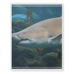Scary Great White Shark Temporary Tattoos