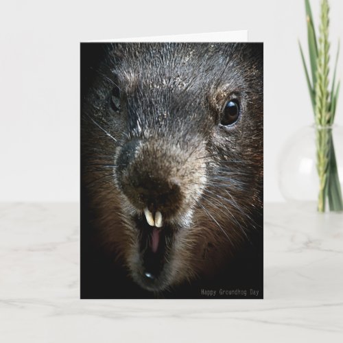 Scary Groundhog Day Card