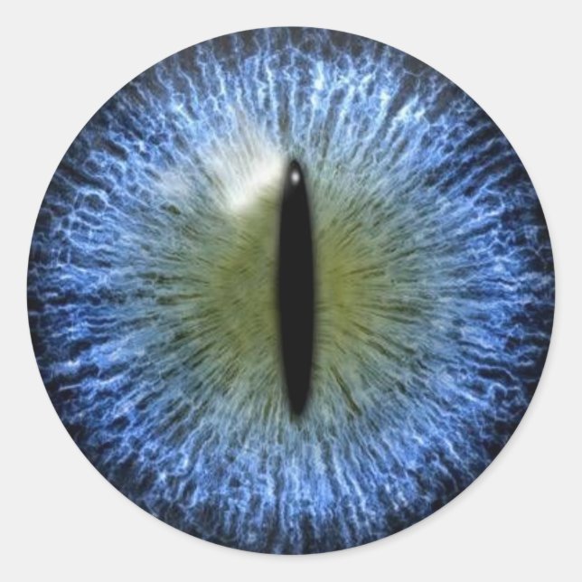 Scary Halloween Cat Eyeball Classic Round Sticker (Front)