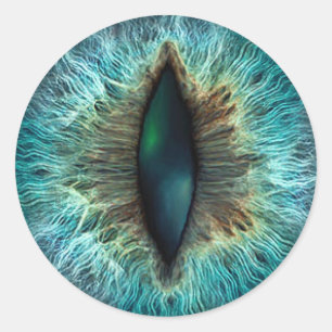 Scary Halloween Dragon Eyeball Classic Round Sticker