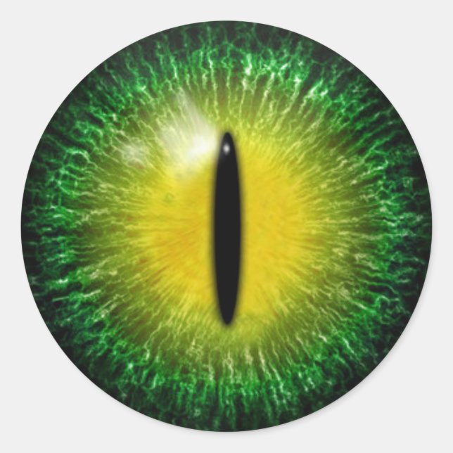 Scary Halloween Dragon Eyeball Classic Round Sticker (Front)