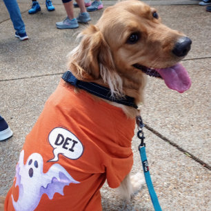 Scary Halloween ghost - DEI - orange T-Shirt