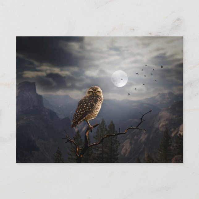 Scary Halloween Night Postcard (Front)