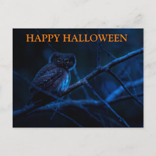 Scary Halloween Night with Owls Postcard