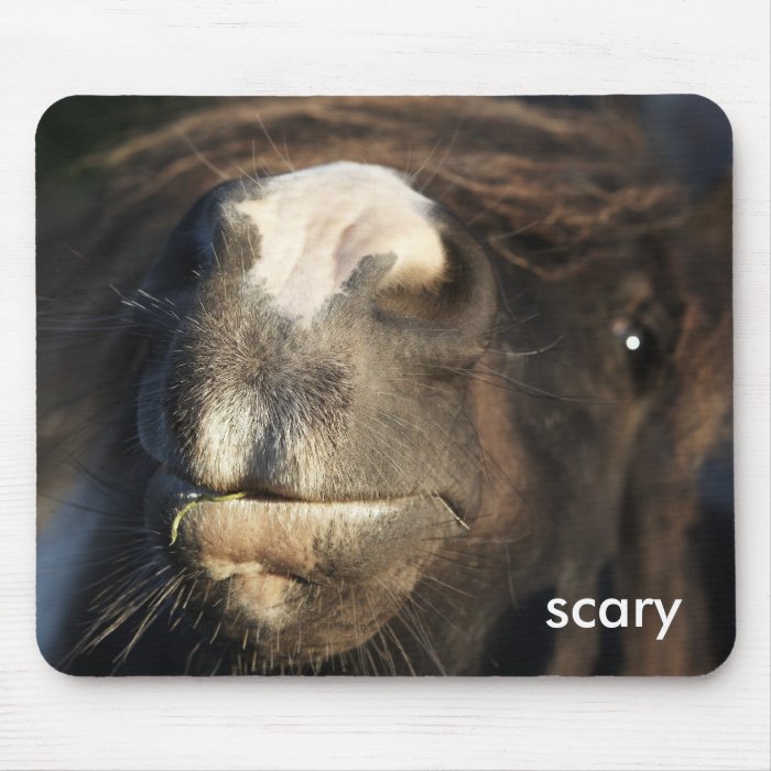 Scary Mousemat