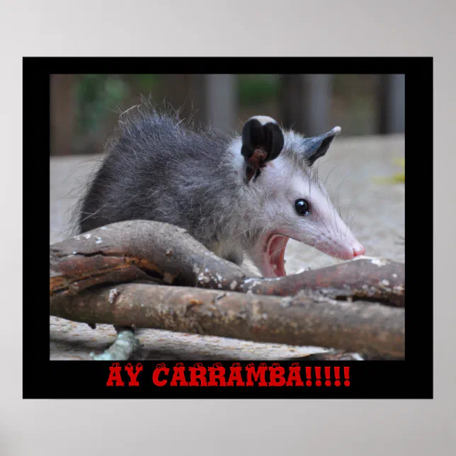 Scary Possum - Poster | Zazzle