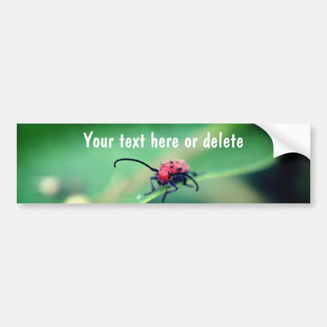 Scary Red Spotted Beetle Nature Personalized Bumper Sticker (Front)