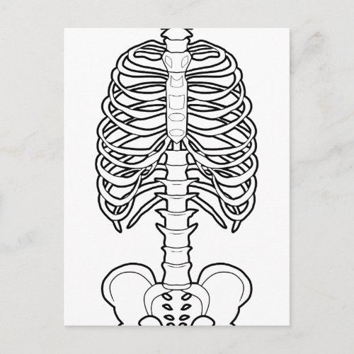 Scary Skeleton Halloween Postcard