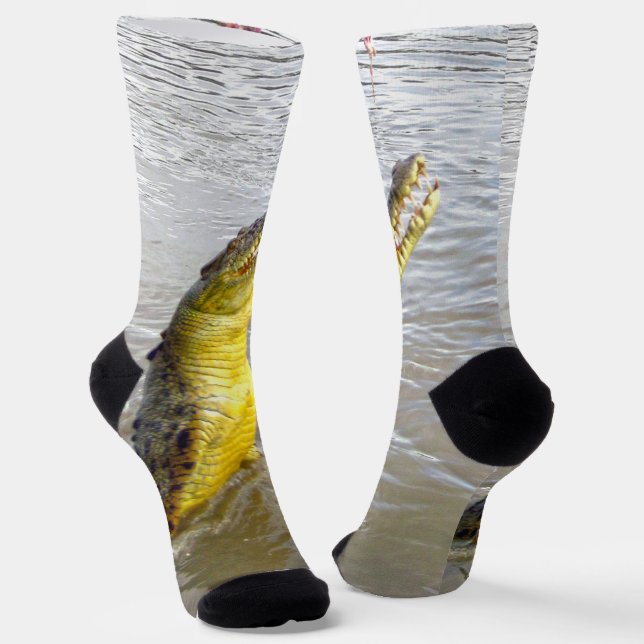 Scary Snappers: The Leap of the Crocodile, Socks (Angled)