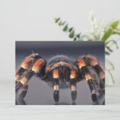 Scary Tarantula spider (Standing Front)