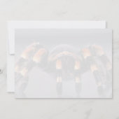 Scary Tarantula spider (Back)