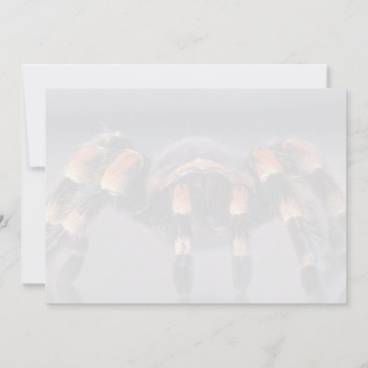 Scary Tarantula spider (Back)