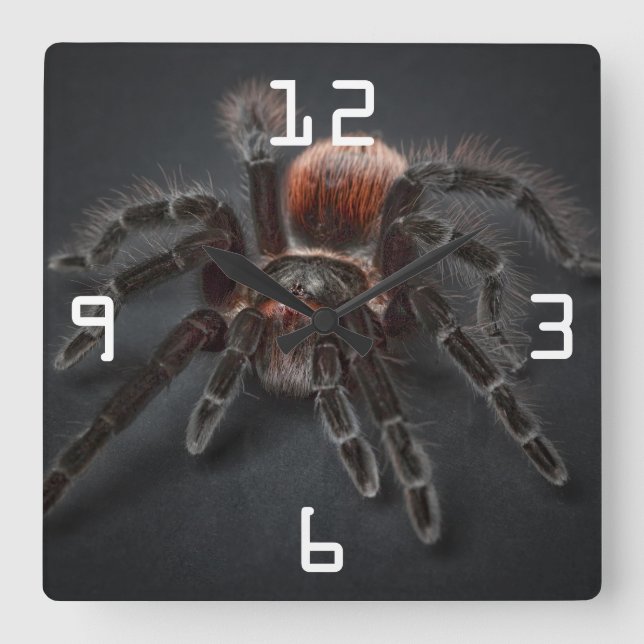 Scary Tarantula Spider Arachnophobia Square Wall Clock (Front)