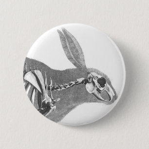 Scary vintage bunny skeleton button