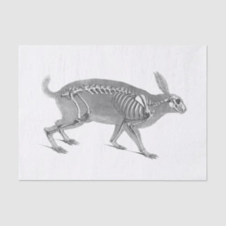 Scary vintage bunny skeleton tissue paper