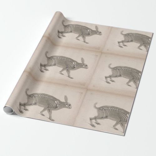 Scary vintage bunny skeleton wrapping paper