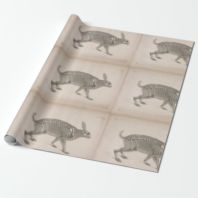 Scary vintage bunny skeleton wrapping paper (Unrolled)