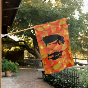 Scary Witch Halloween House Flag
