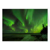 Scattered Aurora (Front Horizontal)