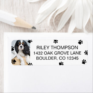 Scattered Black Paws Pet Photo Return Address Label
