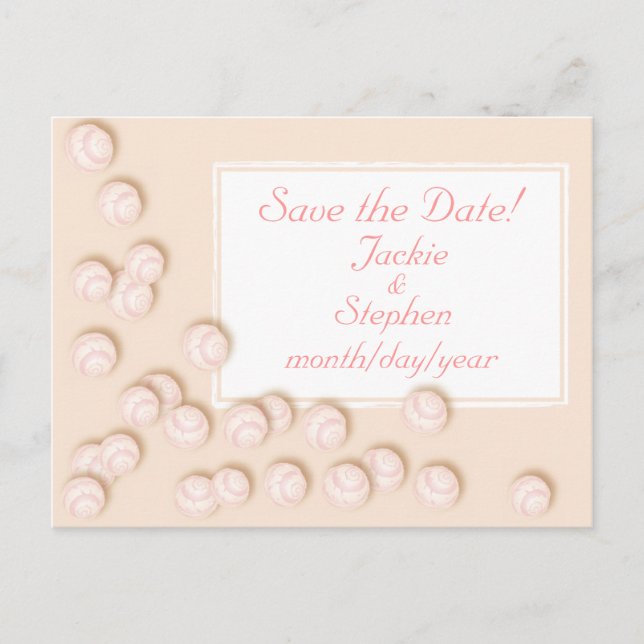 Scattered Seashells Announcement Postcard (Front)
