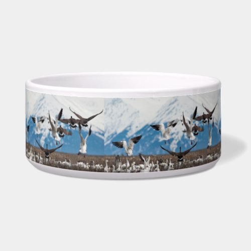 Scattering Geese Bowl