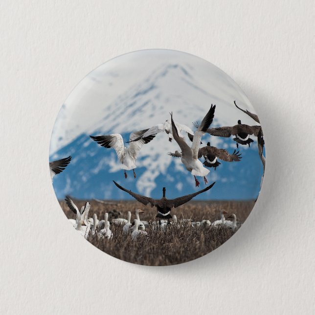 Scattering Geese Button (Front)