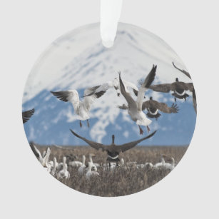 Scattering Geese Ornament