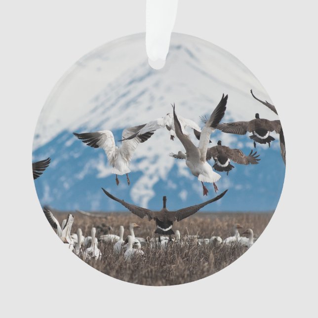 Scattering Geese Ornament (Front)