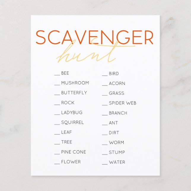 Scavenger Hunt Kids Birthday Game Flyer (Front)