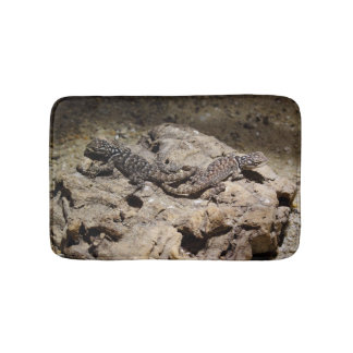 Sceloporus cyanogenys bath mat