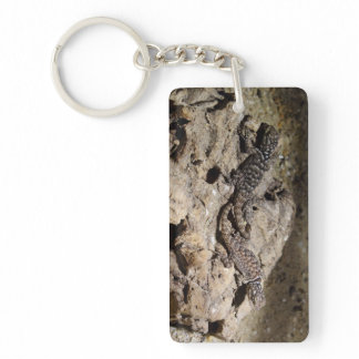 Sceloporus cyanogenys keychain