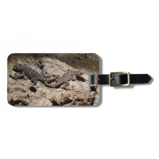 Sceloporus cyanogenys luggage tag