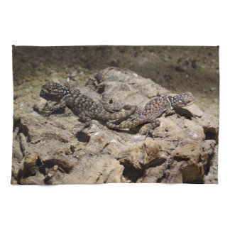 Sceloporus cyanogenys towel