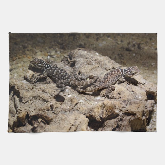 Sceloporus cyanogenys towel (Horizontal)