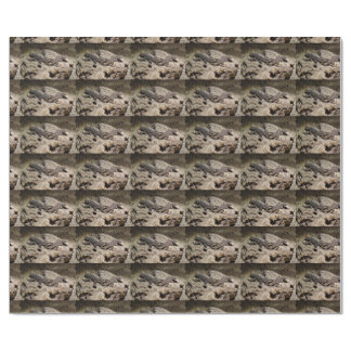 Sceloporus cyanogenys wrapping paper