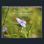 Scene in Nature Seasons in Photography Calendar<br><div class="desc">This pretty nature calendar features my original photographic art – my photographs of scenes in my travels of nature, natural areas of interest. These calendars are high quality and vibrant. You may choose other sizes and other options if desired. This unique calendar would make a great gift for a nature...</div>