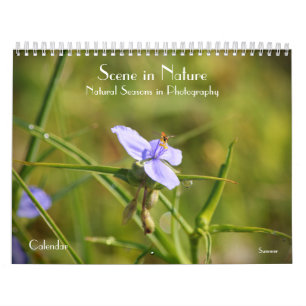 Scene in Nature Seasons in Photography Calendar