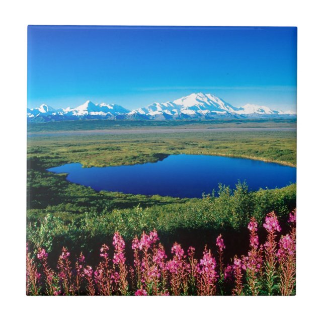 Scene Tundra Mount Mckinley Denali Alaska Ceramic Tile (Front)